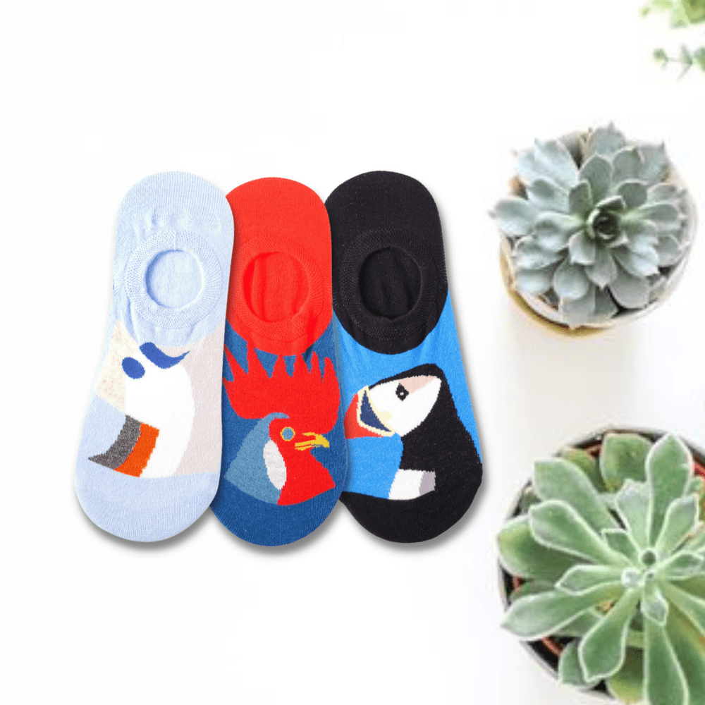 Chicken Design Unisex No Show Socks (Pack of 3)