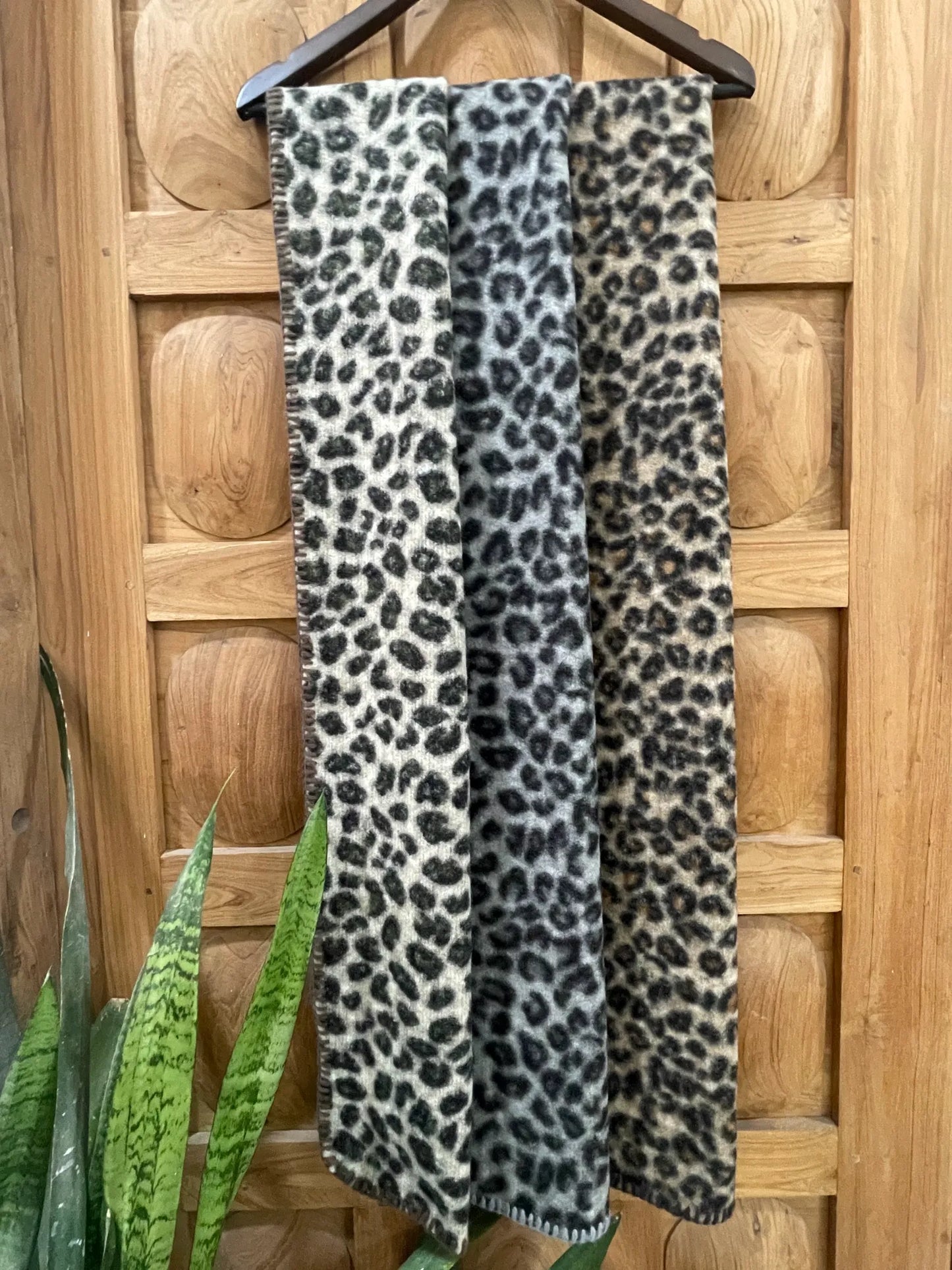 Leopard print scarf draped over a wooden door with a plant in the foreground
