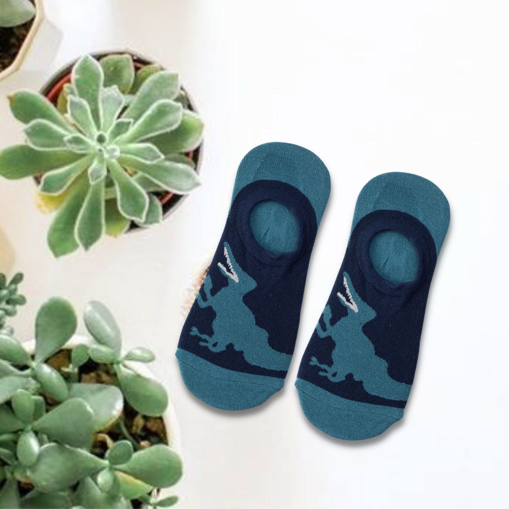 Dinosaur Unisex No Show Socks from Lazzu Socks